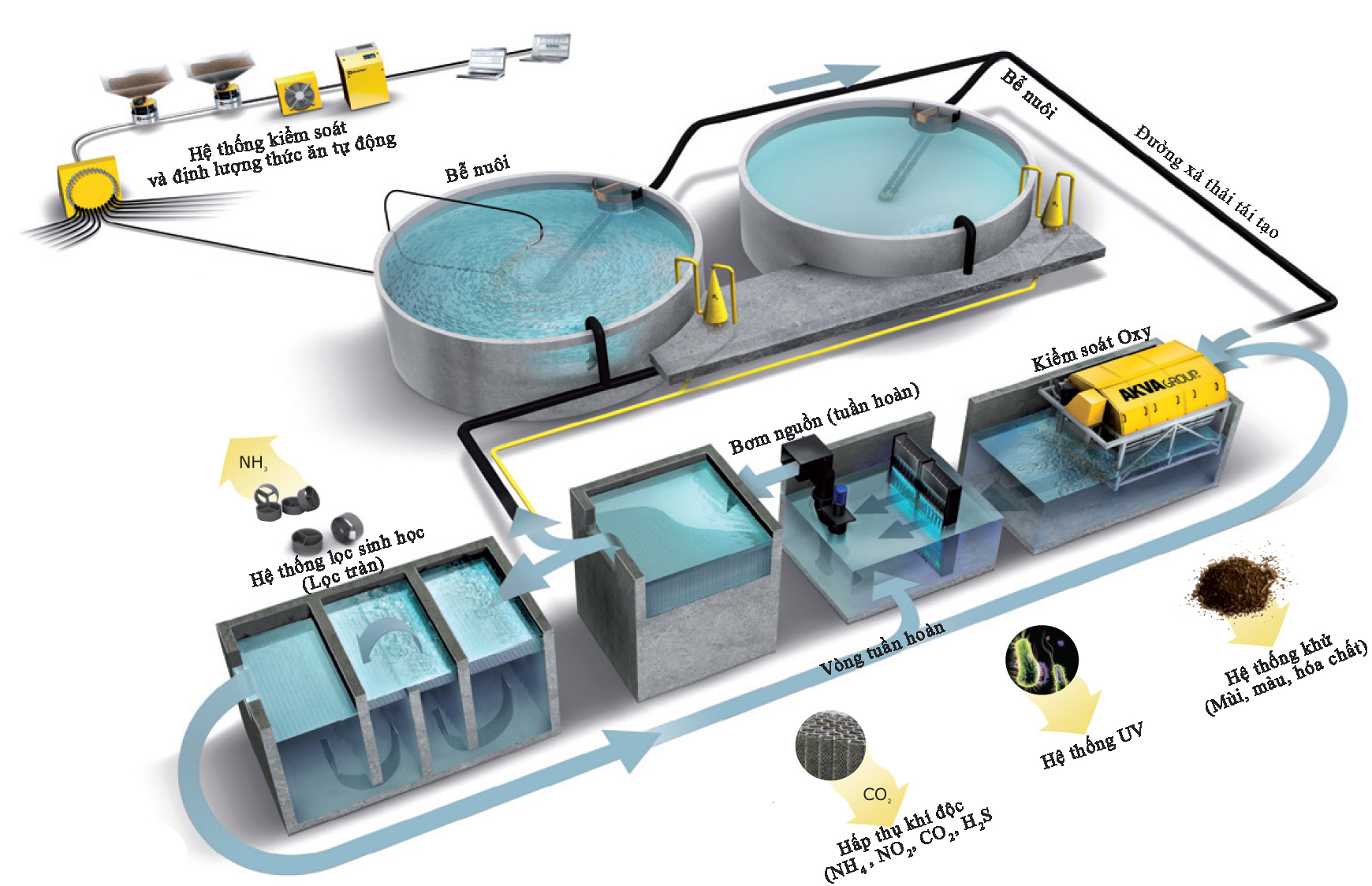 hệ thống lọc nước tuần hoàn nuôi trồng thủy hải sản